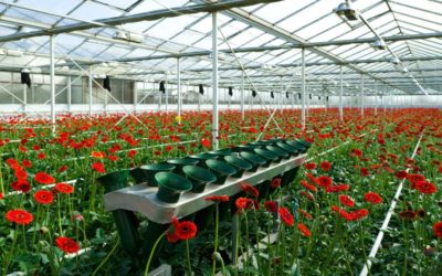 Verkoop ondernemingsvermogen na stilleggen activiteiten